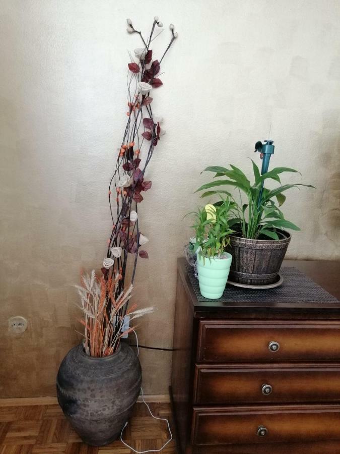 Apartman Maja Banja Luka Exteriör bild